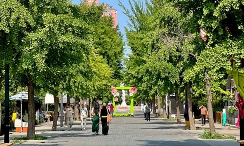 Nanshan Style Street